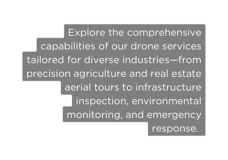 Explore the comprehensive capabilities of our drone services tailored for diverse industries from precision agriculture and real estate aerial tours to infrastructure inspection environmental monitoring and emergency response